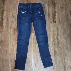 Arizona Jean Company Dark Blue Skinny Jeans